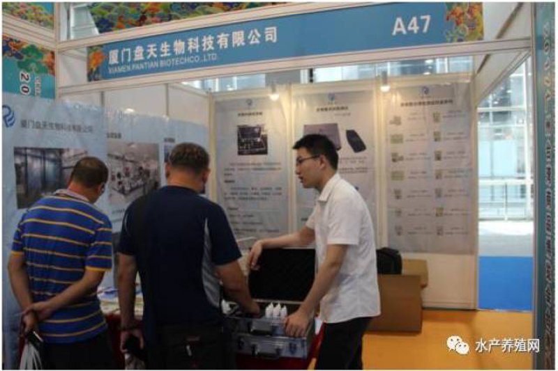 全息膜的应用与发展趋势